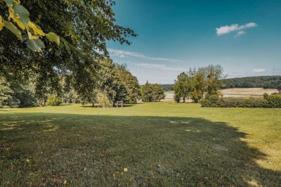 Miniature Location salle Aincourt (Val-d'Oise) - Domaine de Brunel - La Remise #14 Paysage champêtre avec un arbre pleureur, des fleurs bleues au premier plan et un champ sous un ciel partiellement nuageux.