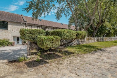 Miniature Location salle Aincourt (Val-d'Oise) - Domaine de Brunel - La Remise #12 Paysage champêtre avec un arbre pleureur, des fleurs bleues au premier plan et un champ sous un ciel partiellement nuageux.