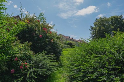 Miniature Location salle Aincourt (Val-d'Oise) - Domaine de Brunel - La Remise #15 Paysage champêtre avec un arbre pleureur, des fleurs bleues au premier plan et un champ sous un ciel partiellement nuageux.
