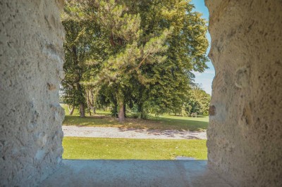 Miniature Location salle Aincourt (Val-d'Oise) - Domaine de Brunel - La Remise #16 Paysage champêtre avec un arbre pleureur, des fleurs bleues au premier plan et un champ sous un ciel partiellement nuageux.