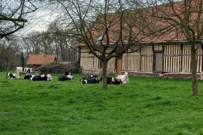 Miniature Location salle Montivilliers (Seine-Maritime) - Ferme d'Epaville #16 Salle rustique avec murs en pierre et poutres apparentes, aménagée avec tables hautes, canapés et décorations simples.
