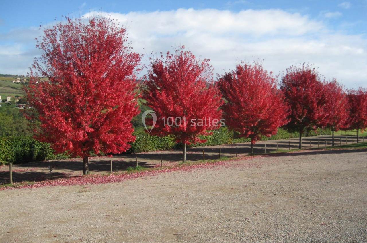 Location salle Val d'Oingt (Rhône) - Cuvage Pecot #35