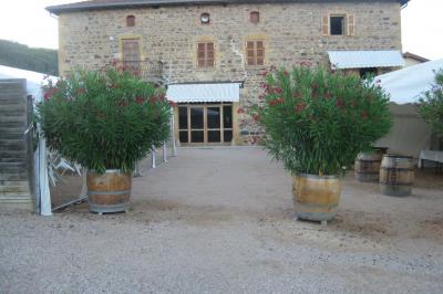 Location salle Val d'Oingt (Rhône) - Cuvage Pecot #80