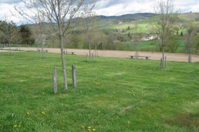 Location salle Val d'Oingt (Rhône) - Cuvage Pecot #80