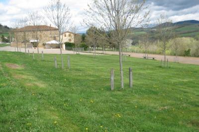 Location salle Val d'Oingt (Rhône) - Cuvage Pecot #80