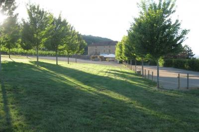 Location salle Val d'Oingt (Rhône) - Cuvage Pecot #80