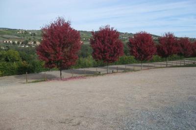 Location salle Val d'Oingt (Rhône) - Cuvage Pecot #80