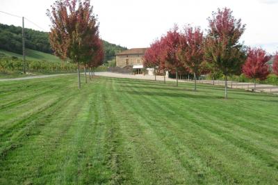 Location salle Val d'Oingt (Rhône) - Cuvage Pecot #80