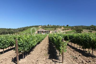 Location salle Roquebrune-sur-Argens (Var) - Château Vaudois #24