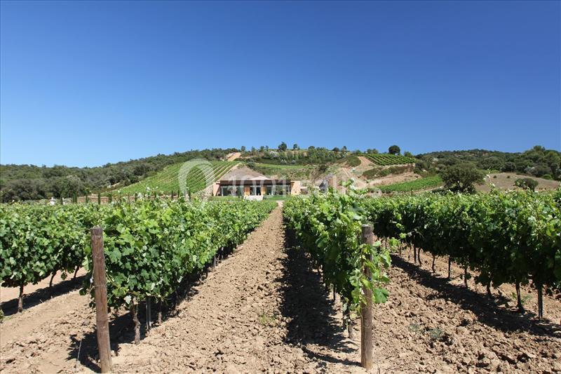 Location salle Roquebrune-sur-Argens (Var) - Château Vaudois #21