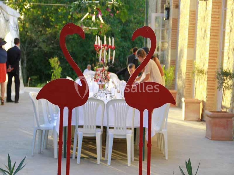 Location salle Saliès (Tarn) - L'Orangerie du Château de Salies #5