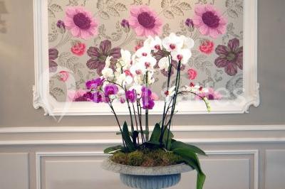 Location salle La Roquette-sur-Var (Alpes-Maritimes) - Restaurant Servella #24