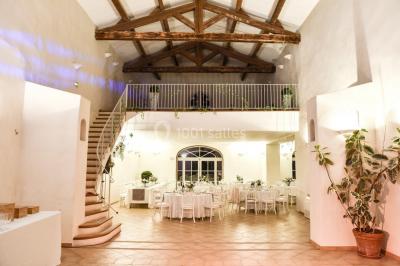 Allée bordée de palmiers éclairés, menant à une fontaine illuminée dans un jardin au crépuscule.
