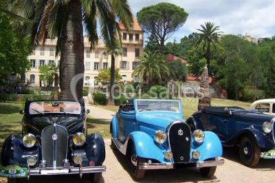 Allée bordée de palmiers éclairés, menant à une fontaine illuminée dans un jardin au crépuscule.