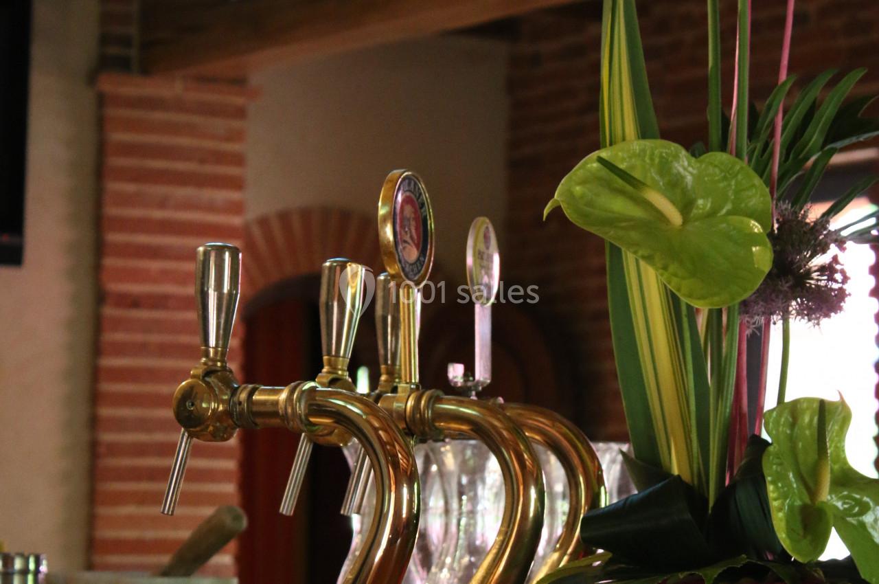 Tireuses à bière en laiton sur un comptoir en bois, avec une plante décorative et une lampe suspendue en arrière-plan.