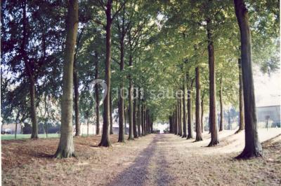 Miniature Location salle Braine-l'Alleud (Brabant wallon) - Château De Bois-seigneur-isaac #9 Location salle Braine-l'Alleud (Brabant wallon) - Château De Bois-seigneur-isaac #21