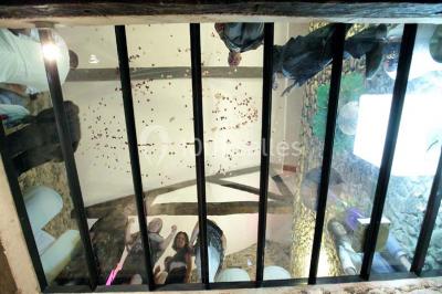 Fenêtre en bois éclairée par la lumière naturelle, avec un rebord recouvert de mousse et de petites bougies.