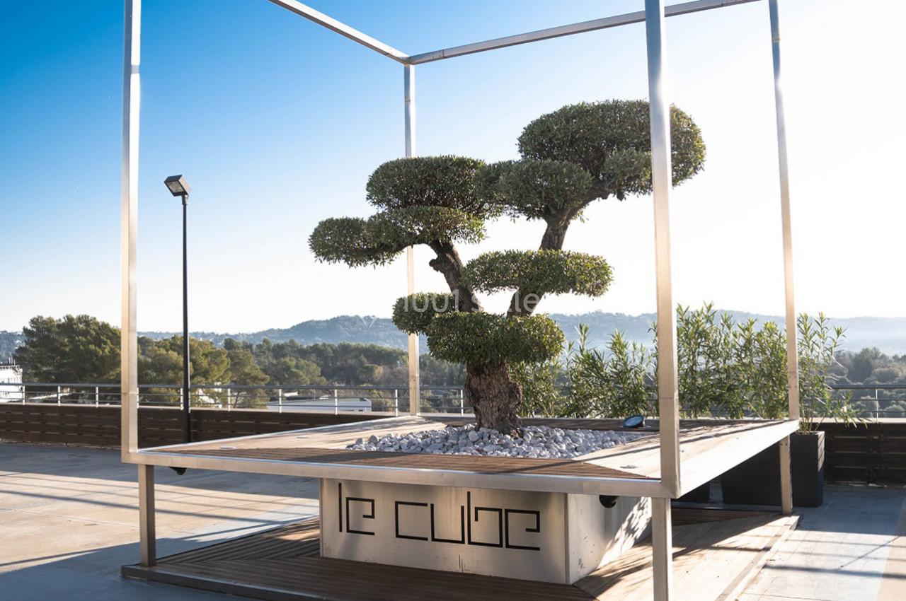 Location salle Grasse (Alpes-Maritimes) - Le Cube Récéptions #62