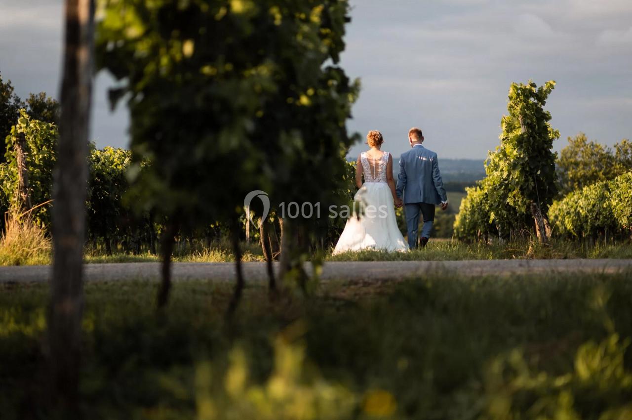 Un couple en tenue de mariage marche entre des rangées de vignes sous une lumière douce.