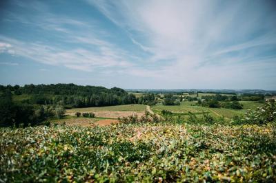 Rangées de fûts en bois alignés dans une cave en pierre éclairée par des lumières chaudes.