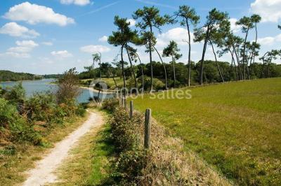 Cuisine professionnelle avec plan de travail en inox, lave-vaisselle industriel et casiers de rangement colorés.