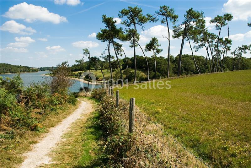 Chemin de terre bordé de végétation menant à un paysage de rivière et de pins sous un ciel bleu.