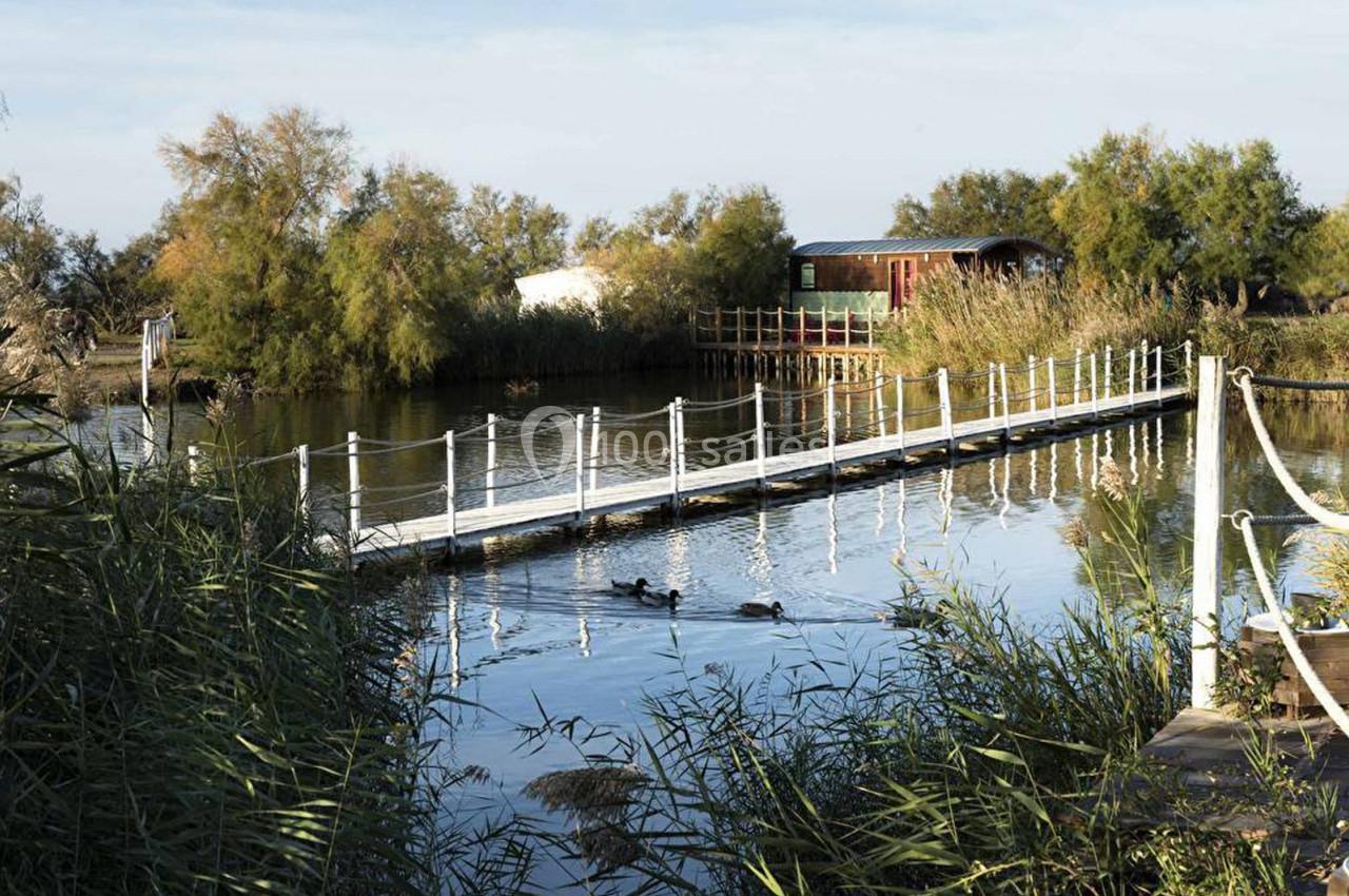 Passerelle en bois et cordes traversant un étang calme avec des canards, entourée de végétation et de cabanes.