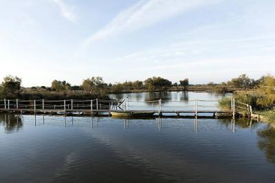 Salon lumineux avec canapé, table basse, tapis à motifs, et chambre en mezzanine avec lit double en arrière-plan.