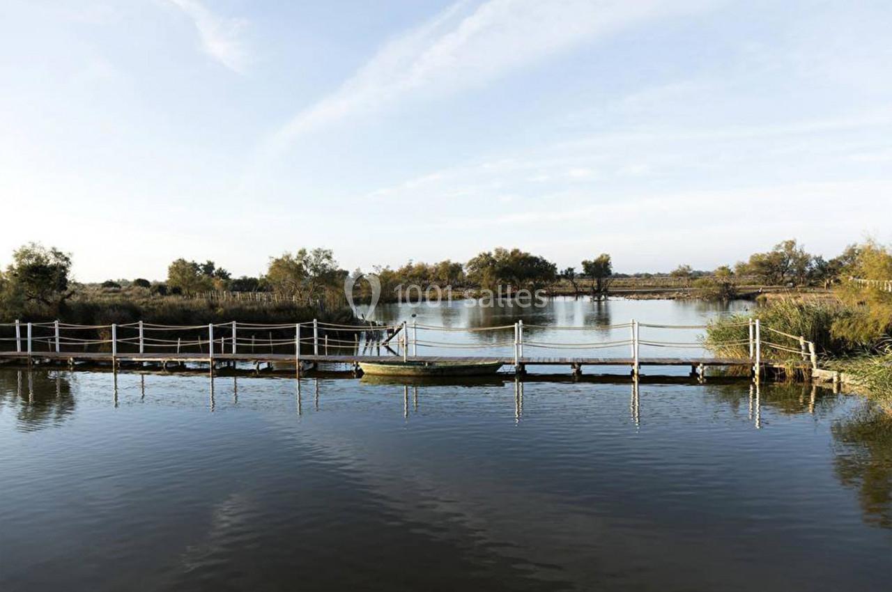Passerelle en bois traversant un étang calme entouré de végétation et d'arbres sous un ciel dégagé.