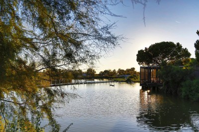 Salon lumineux avec canapé, table basse, tapis à motifs, et chambre en mezzanine avec lit double en arrière-plan.