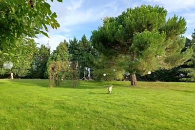 Chaises en bois disposées autour d'une petite table ronde avec un vase, sur une pelouse ensoleillée.