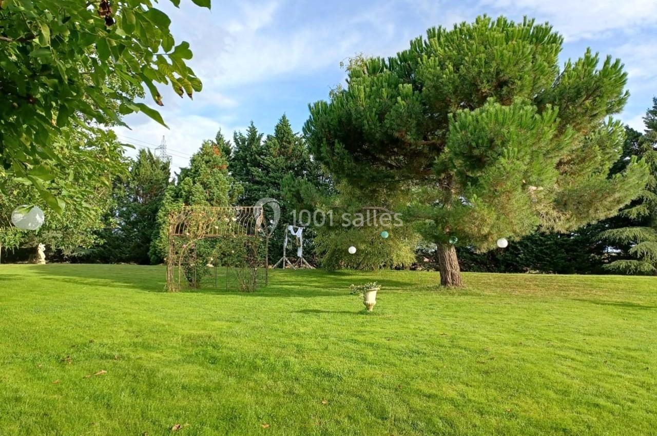 Pelouse verdoyante avec un grand pin, des arbres en arrière-plan et des décorations suspendues dans un jardin.