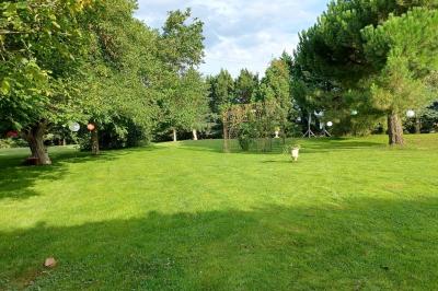 Chaises en bois disposées autour d'une petite table ronde avec un vase, sur une pelouse ensoleillée.