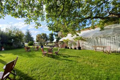 Chaises en bois disposées autour d'une petite table ronde avec un vase, sur une pelouse ensoleillée.
