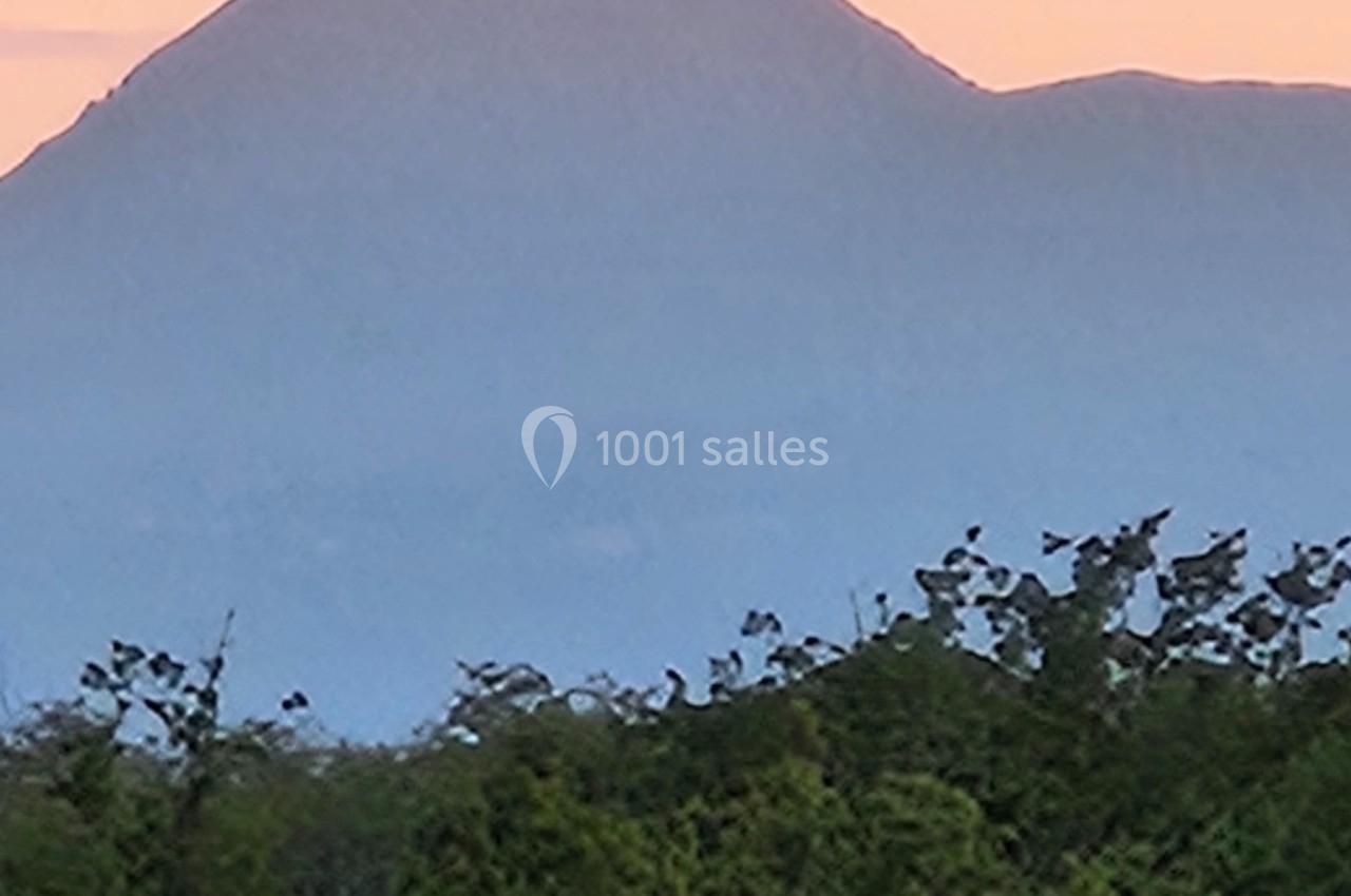 Vue d'un sommet montagneux au coucher du soleil, avec des arbres au premier plan et un ciel teinté de rose.