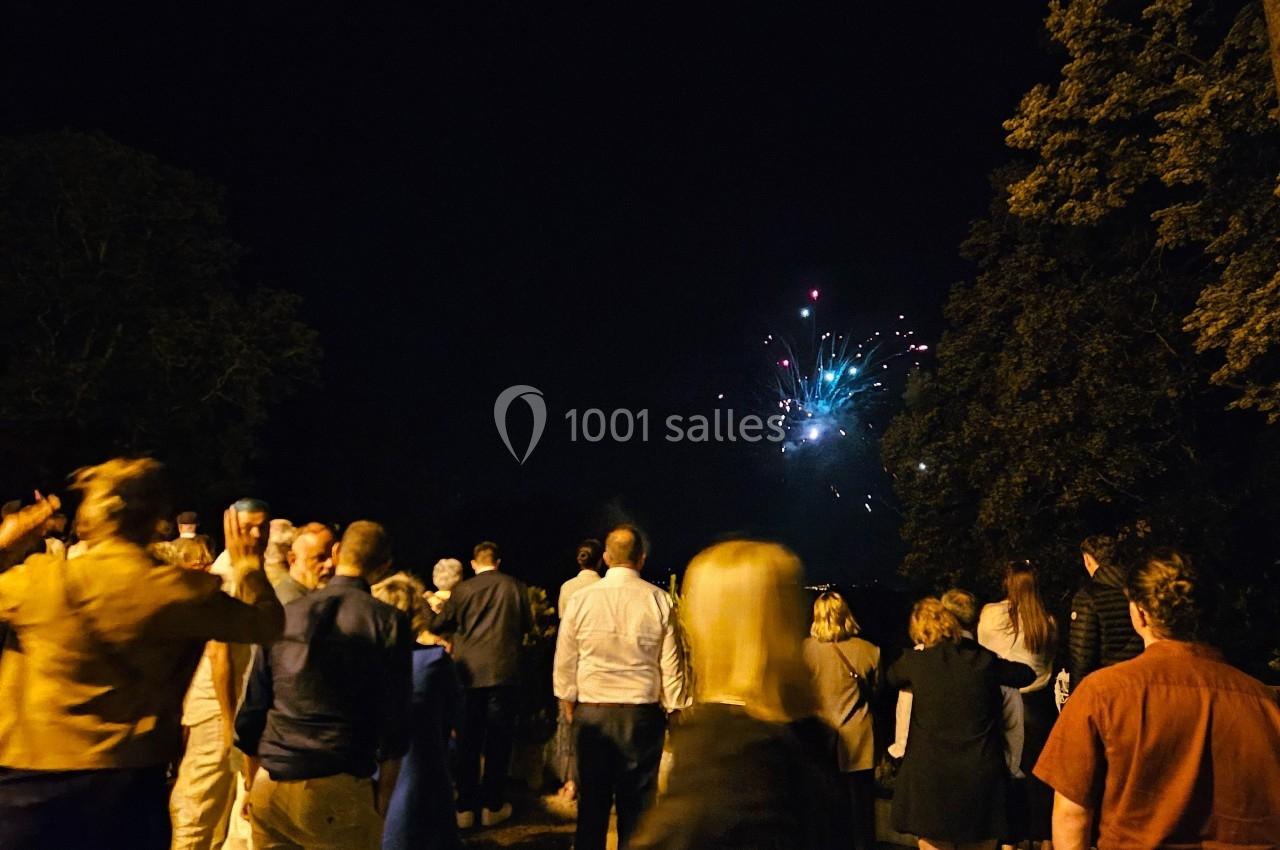 Un groupe de personnes observe un feu d'artifice illuminant le ciel nocturne dans un cadre extérieur.