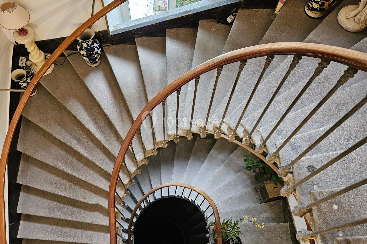 Escalier en colimaçon vu de dessus, avec rampe en bois, plantes et lumière naturelle provenant d'une fenêtre.