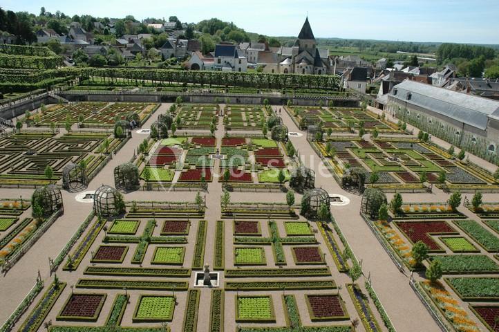 Location salle Villandry (Indre-et-Loire) - Château De Villandry #2