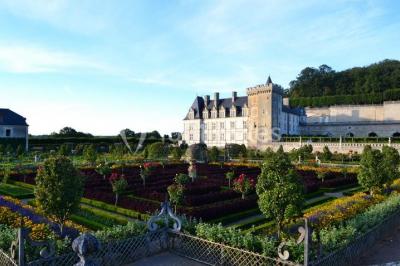 Location salle Villandry (Indre-et-Loire) - Château De Villandry #9