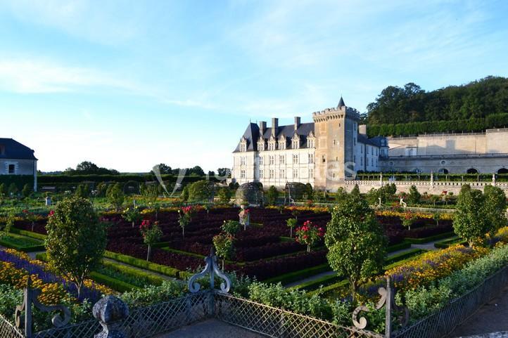 Location salle Villandry (Indre-et-Loire) - Château De Villandry #4