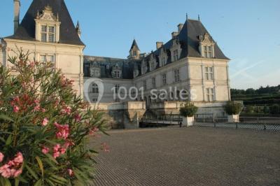 Location salle Villandry (Indre-et-Loire) - Château De Villandry #9