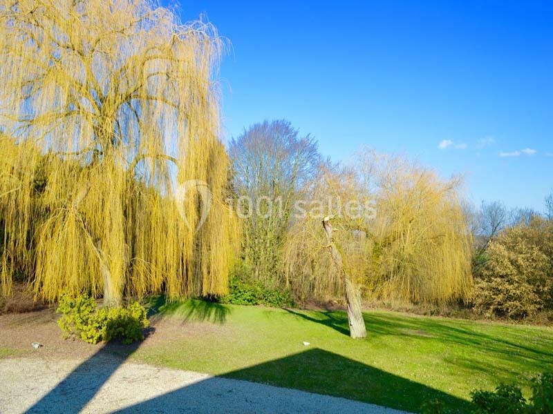 Un jardin avec des arbres, dont des saules pleureurs, sur une pelouse ensoleillée sous un ciel bleu.