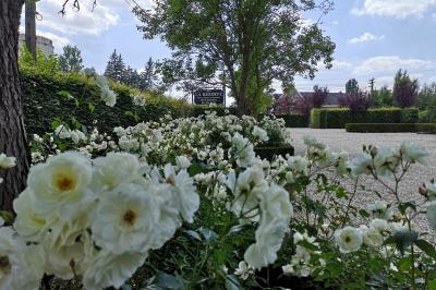 Miniature Location salle Enghien (Hainaut) - La Réserve #41 Lettres lumineuses ’K & N’ blanches posées au sol devant un mur décoré de guirlandes de lierre.