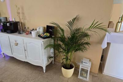 Miniature Location salle Enghien (Hainaut) - La Réserve #46 Lettres lumineuses ’K & N’ blanches posées au sol devant un mur décoré de guirlandes de lierre.