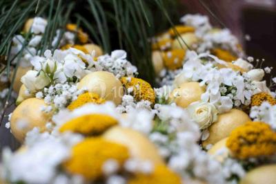 Location salle Grasse (Alpes-Maritimes) - Golf Saint Donat #23