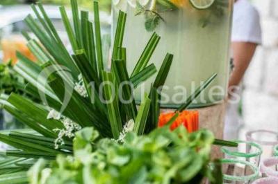 Location salle Grasse (Alpes-Maritimes) - Golf Saint Donat #23