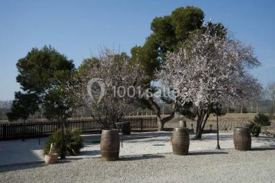 Location salle Capestang (Hérault) - Domaine De L'ale #15