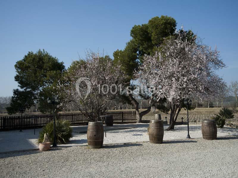 Location salle Capestang (Hérault) - Domaine De L'ale #14