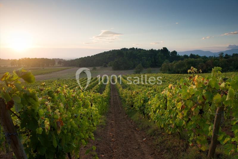 Location salle Rustiques (Aude) - Château Canet #10
