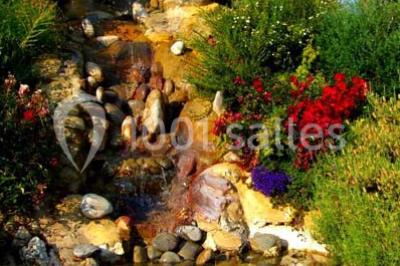 Deux balais déguisés en mariés avec robe et costume, posés devant une tente blanche et un cadre décoratif.